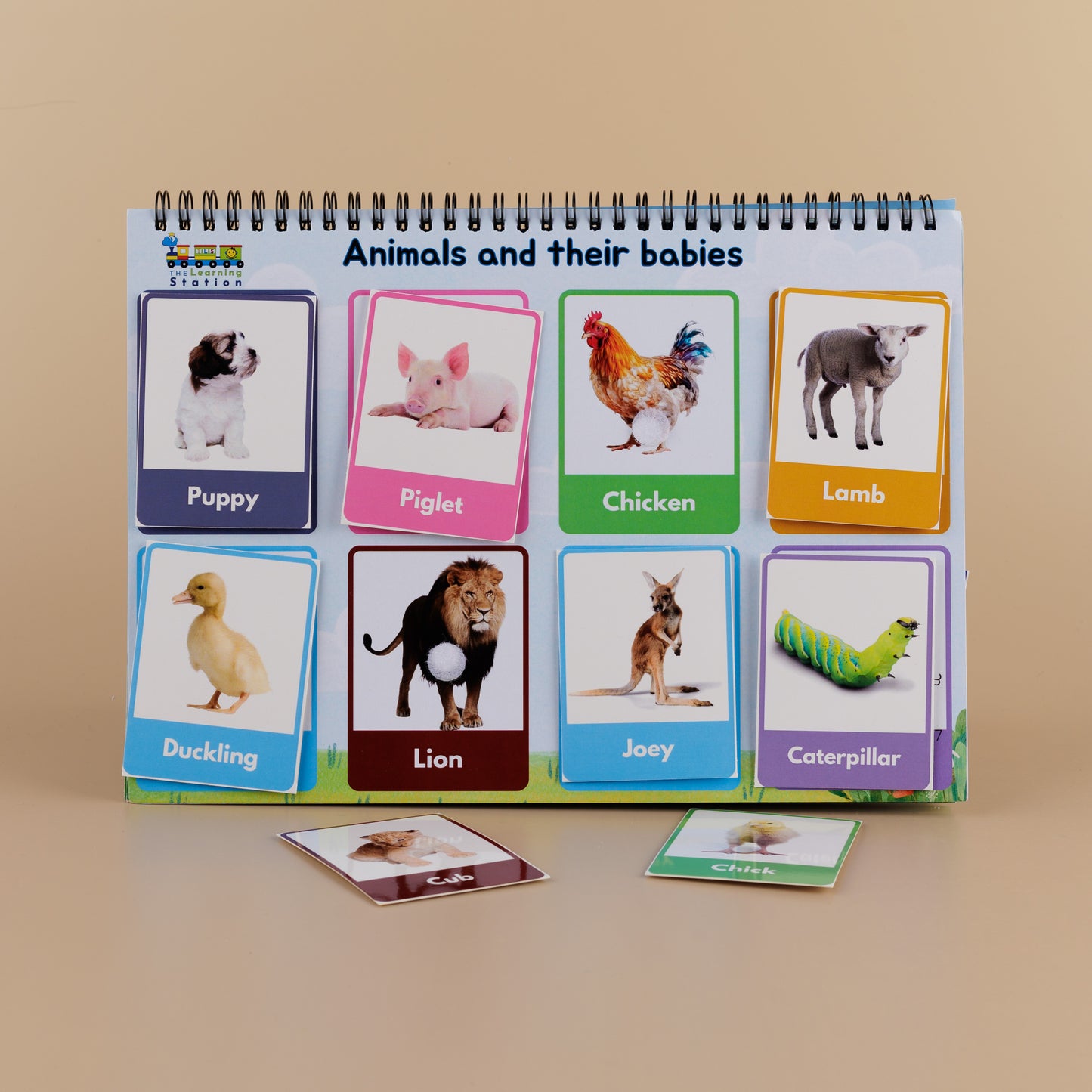 Animal & Birds Binder