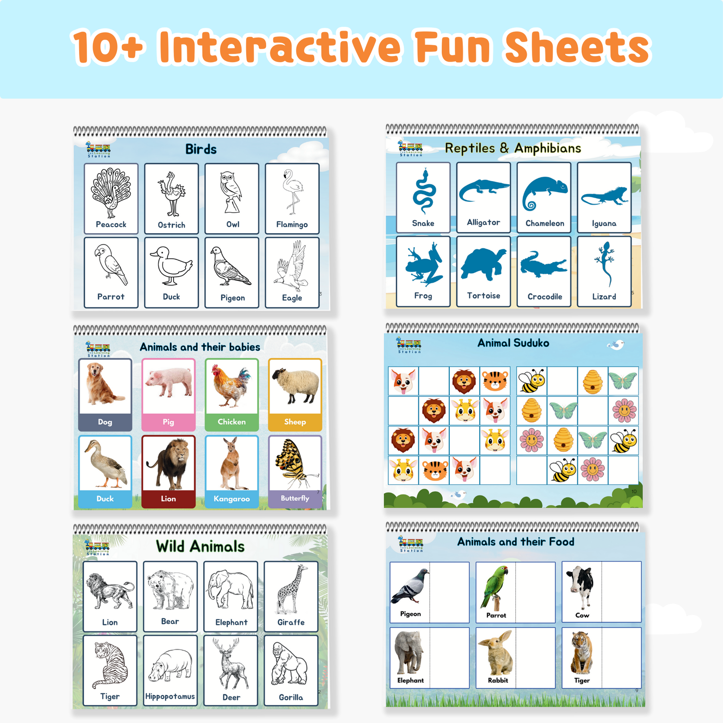 Animal & Birds Binder
