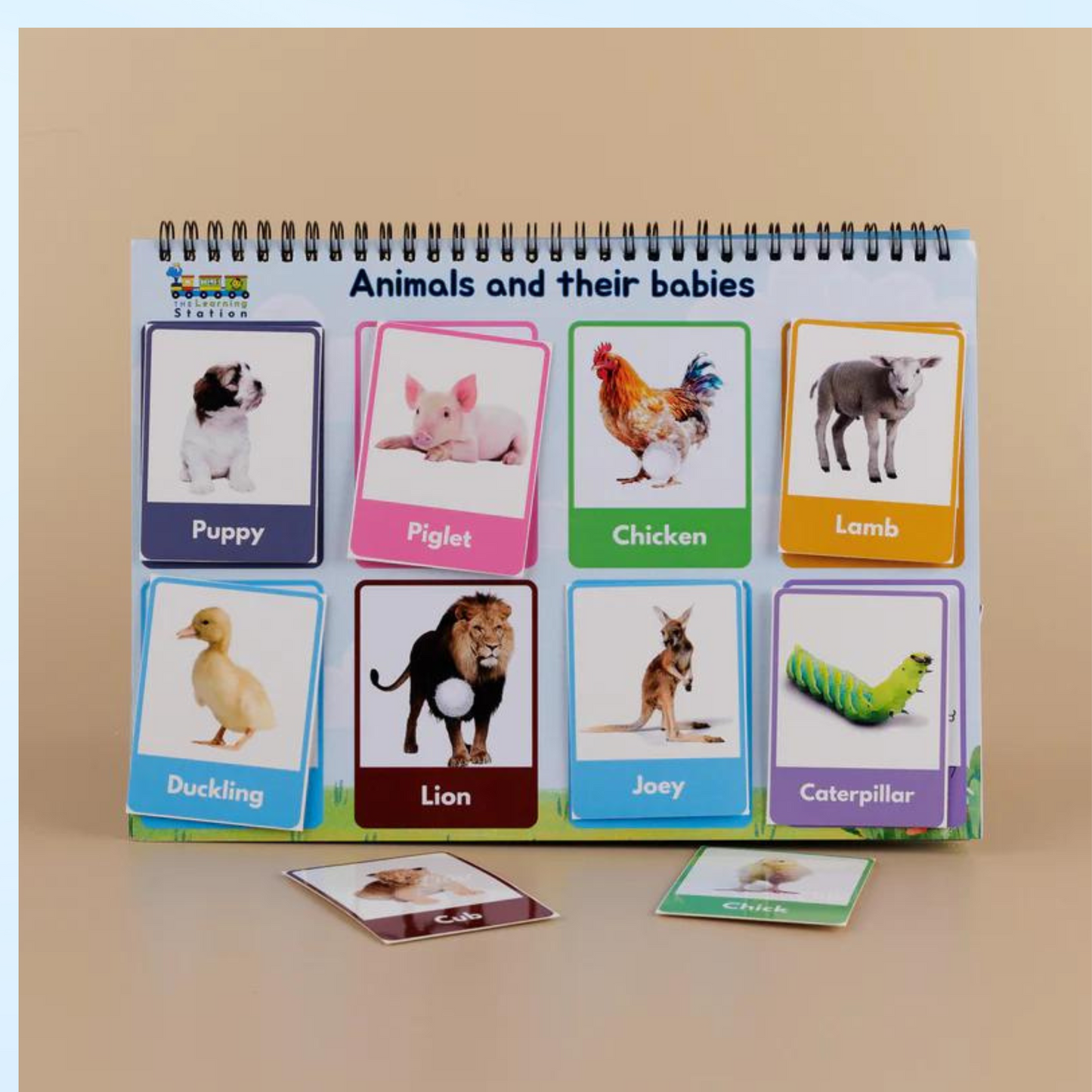 Animal & Birds Binder